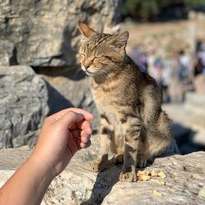 Meet your Posher, Jamie